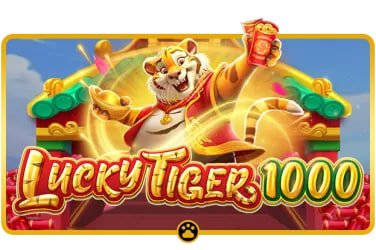 betflik 555