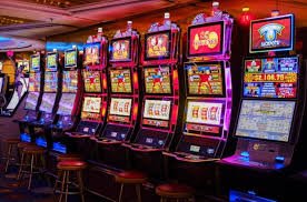 betflik 555
