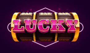 betflik 555